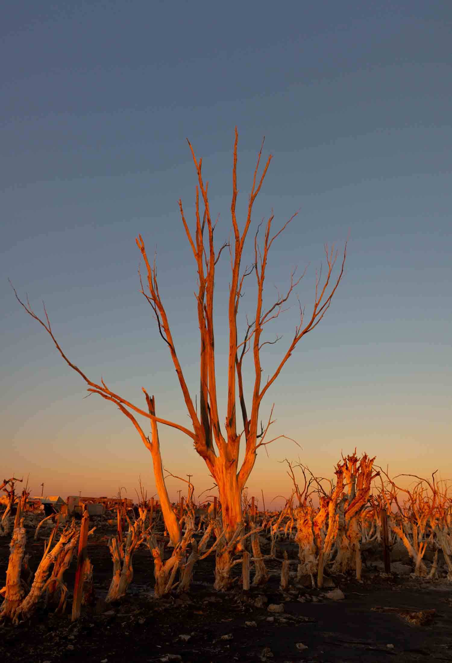 Atardecer en las Ruinas de Epecuen