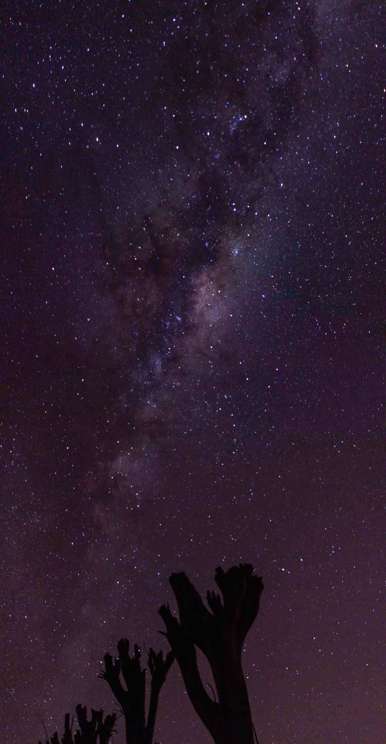 Via Lactea en las Ruinas de Epecuen